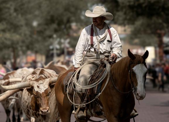 ft worth stockyards