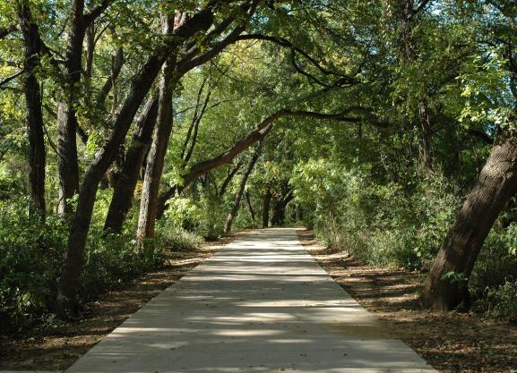 linear trail