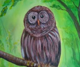 Oliver Nature Park, Painting at the Park, Mansfield, TX