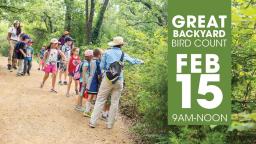 bird count