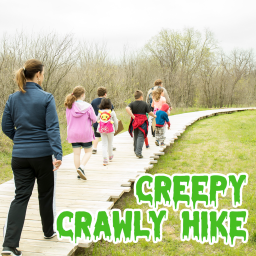 creepy crawly hike