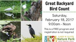 Great Backyard Bird Count, Oliver Nature Park, Mansfield, TX
