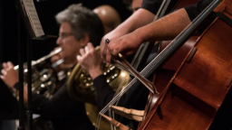 mansfield phil