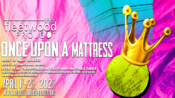 once upon a mattress