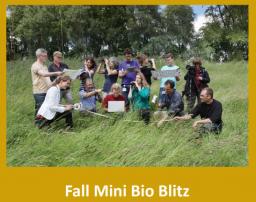 Oliver Nature park, Fall Mini Bio Blitz, Mansfield, TX