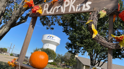 st johns pumpkin patch