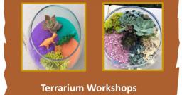 Oliver Nature Park, Terrarium Workshops, Mansfield, TX