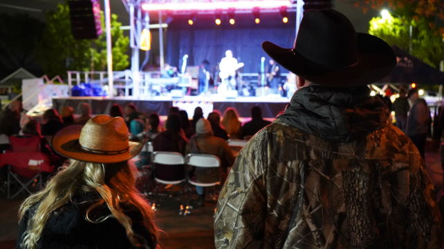 music alley pic