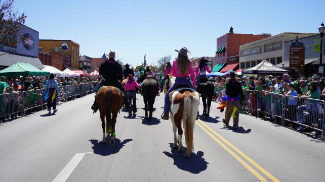 pickle parade horses