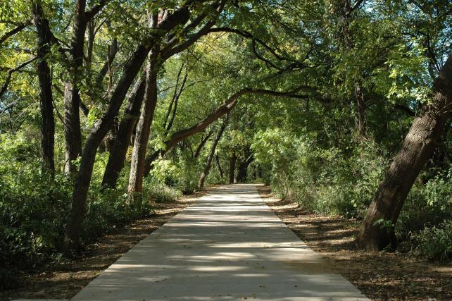 linear trail