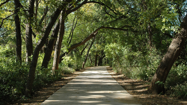 linear trail