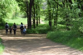 oliver nature park trail