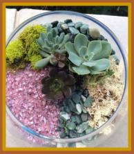 Oliver Nature Park, Terrarium Workshops, Mansfield, TX